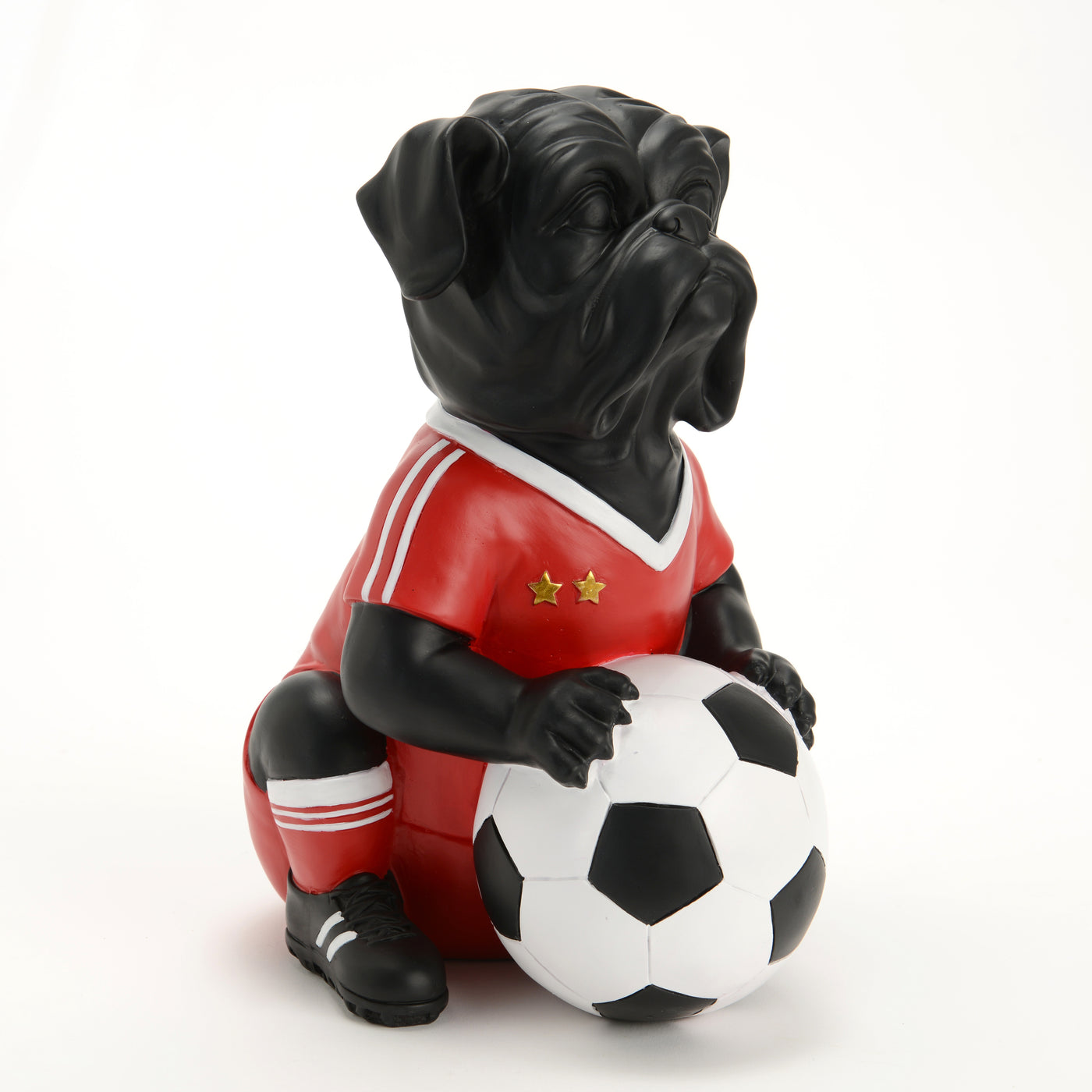 DOG FOOTBALLER