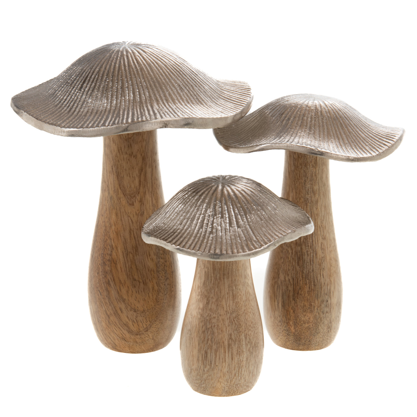 MUSHROOMS \S3 | WOOD METAL