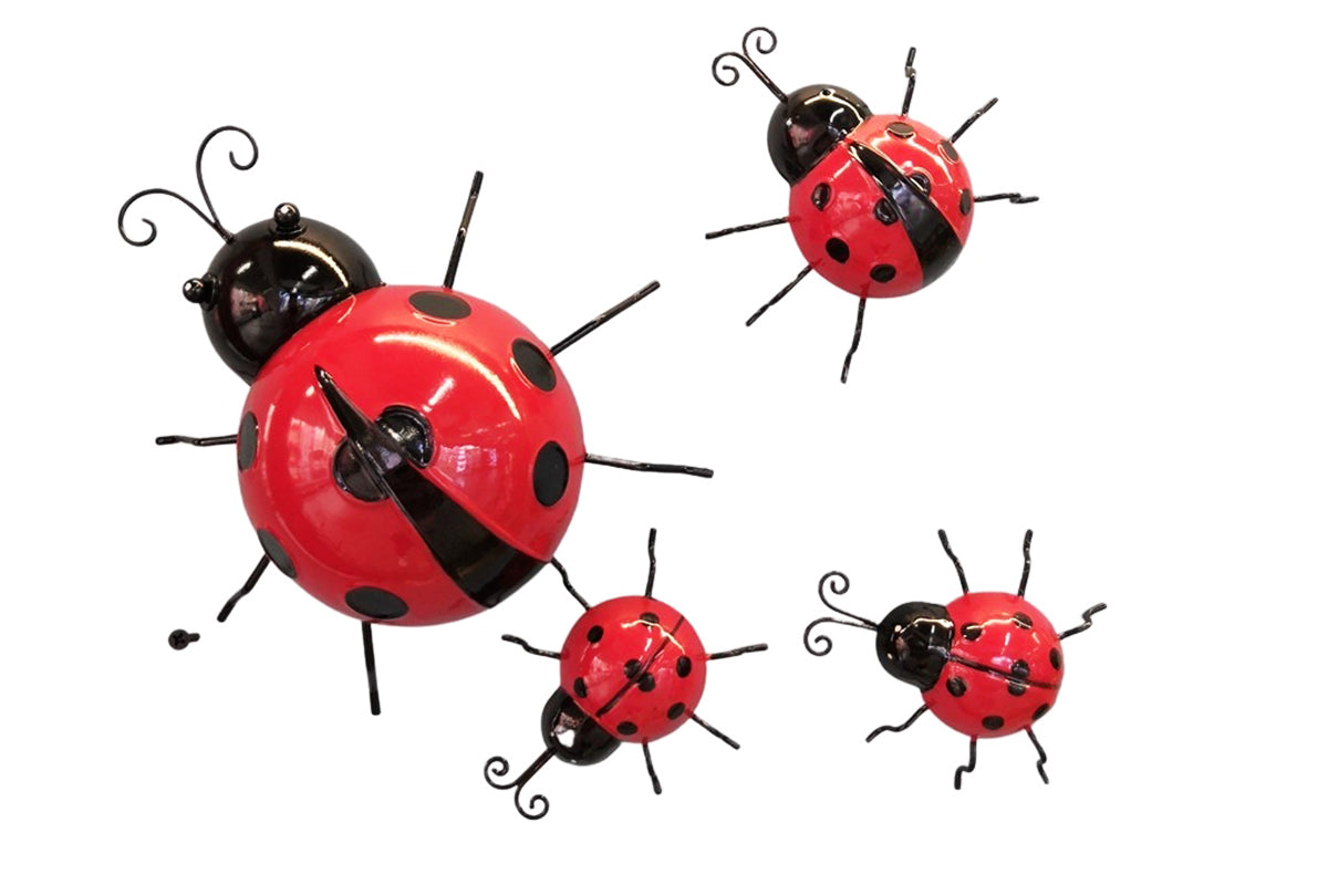 S/4 Ladybug Histoire de Fer